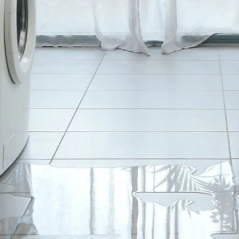 Appliance Leak Cleanup in Elgin, TX